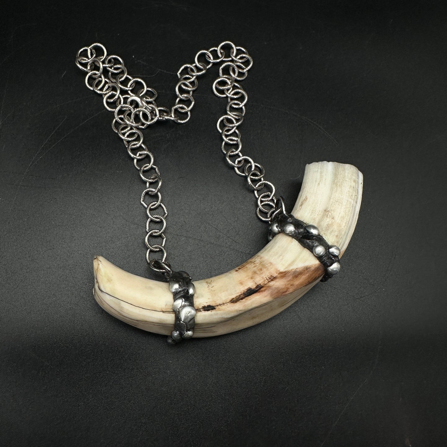 Tooth & Talisman ~ Boar Tusk Necklace