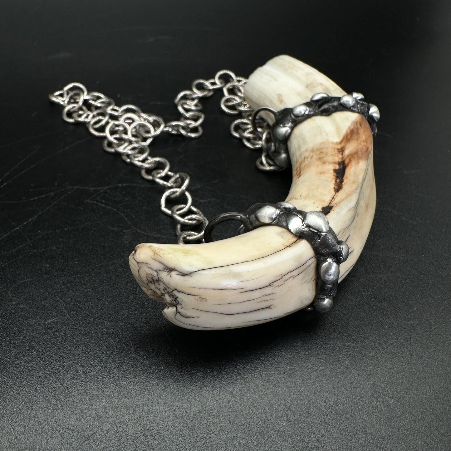 Tooth & Talisman ~ Boar Tusk Necklace