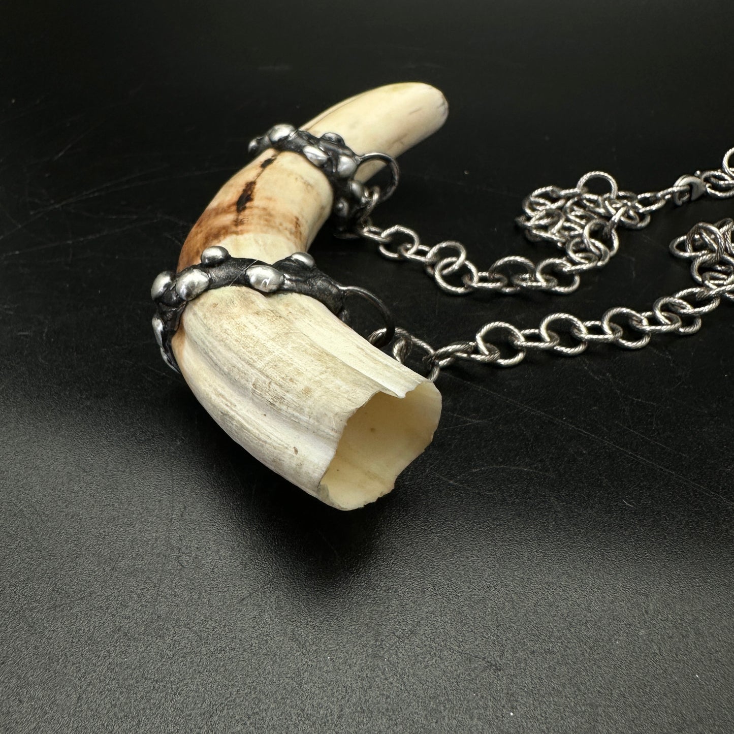 Tooth & Talisman ~ Boar Tusk Necklace