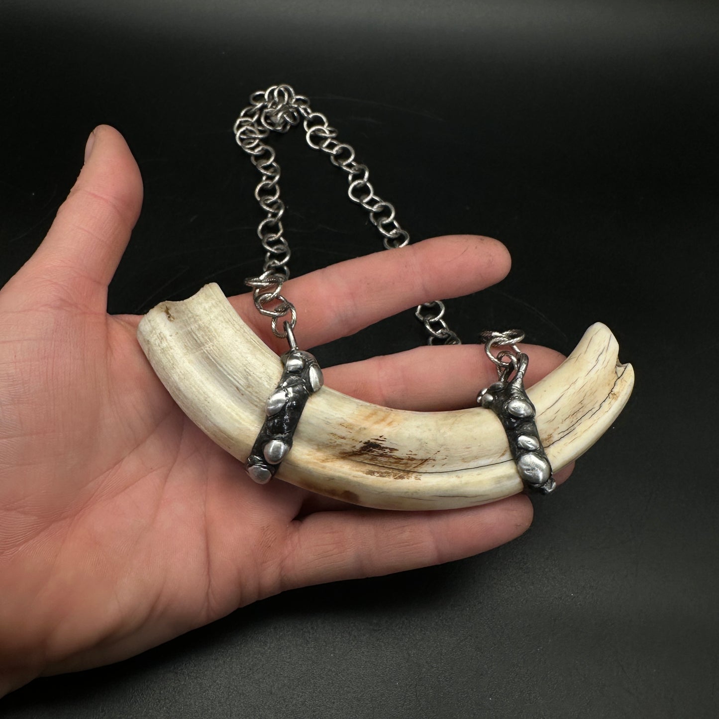 Tooth & Talisman ~ Boar Tusk Necklace
