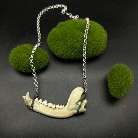 Wild Relic  ~ Jawbone Necklace