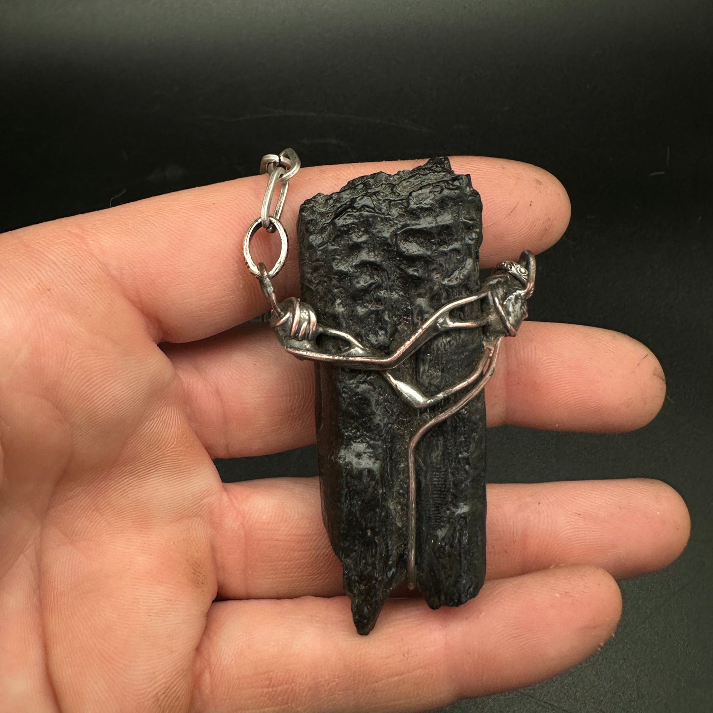 Ancient Traveler ~ Fossil Horse Tooth Relic Necklace