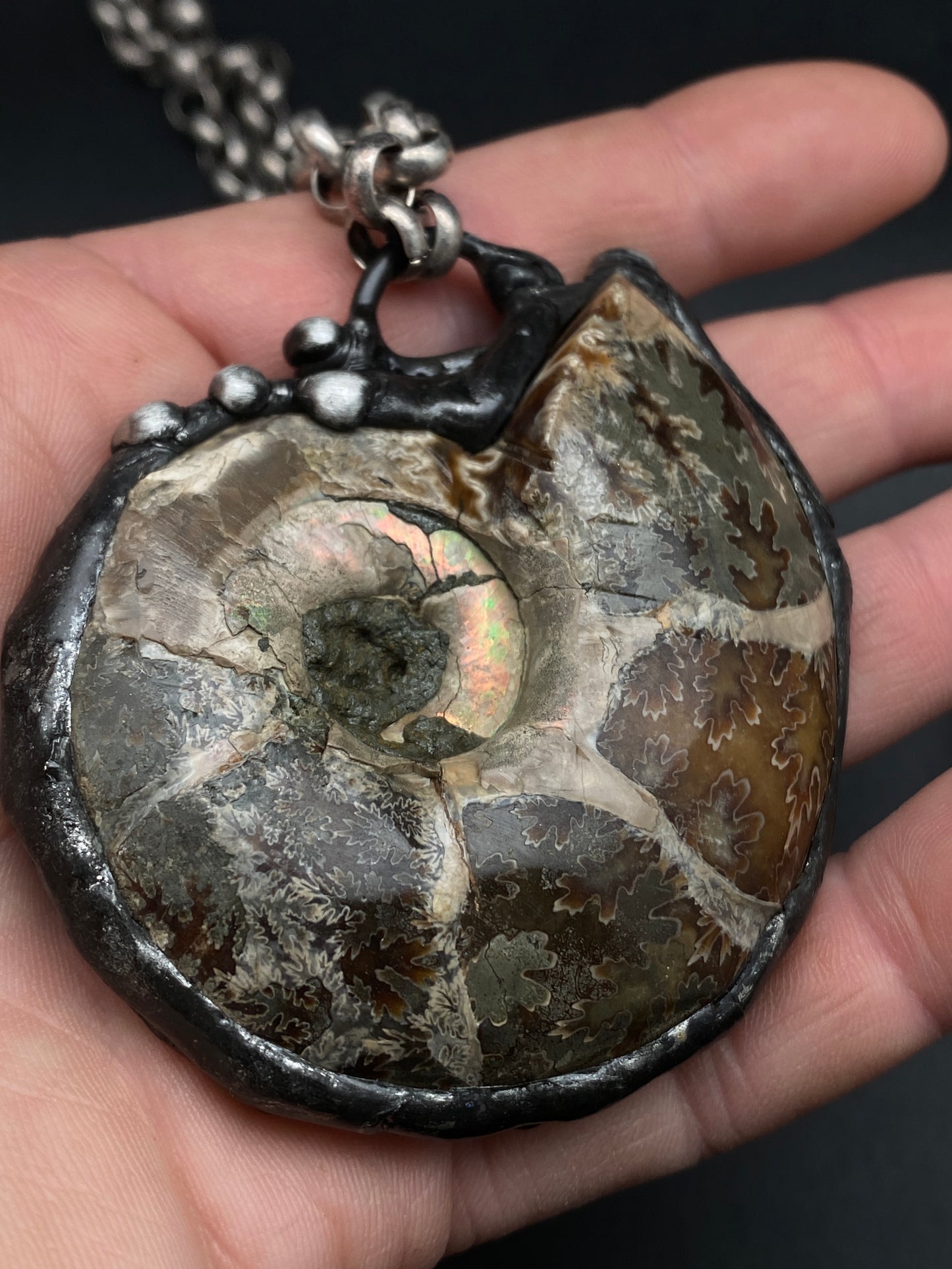 Fibonacci ~ Fossil Ammonite Necklace