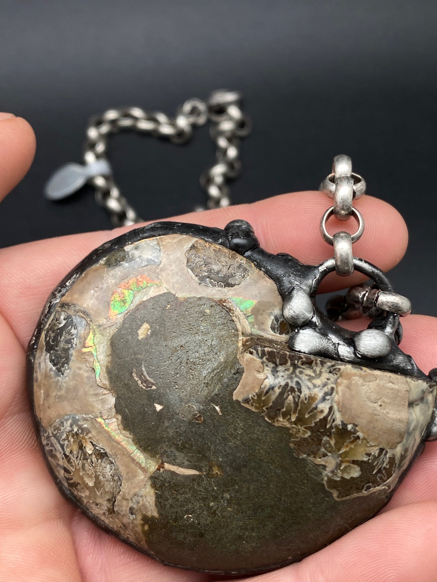 Fibonacci ~ Fossil Ammonite Necklace