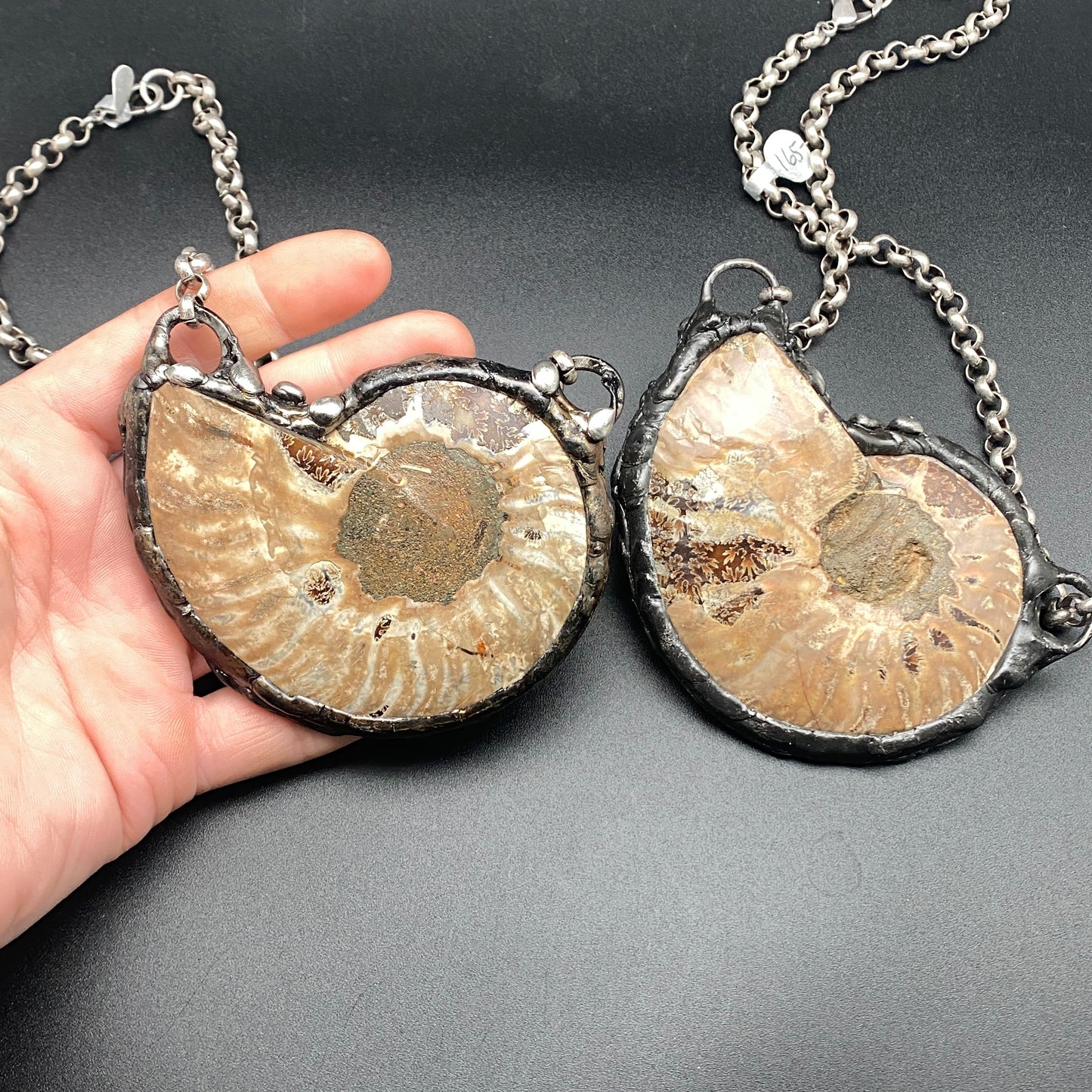 Fibonacci ~ Large Fossil Ammonite Necklace