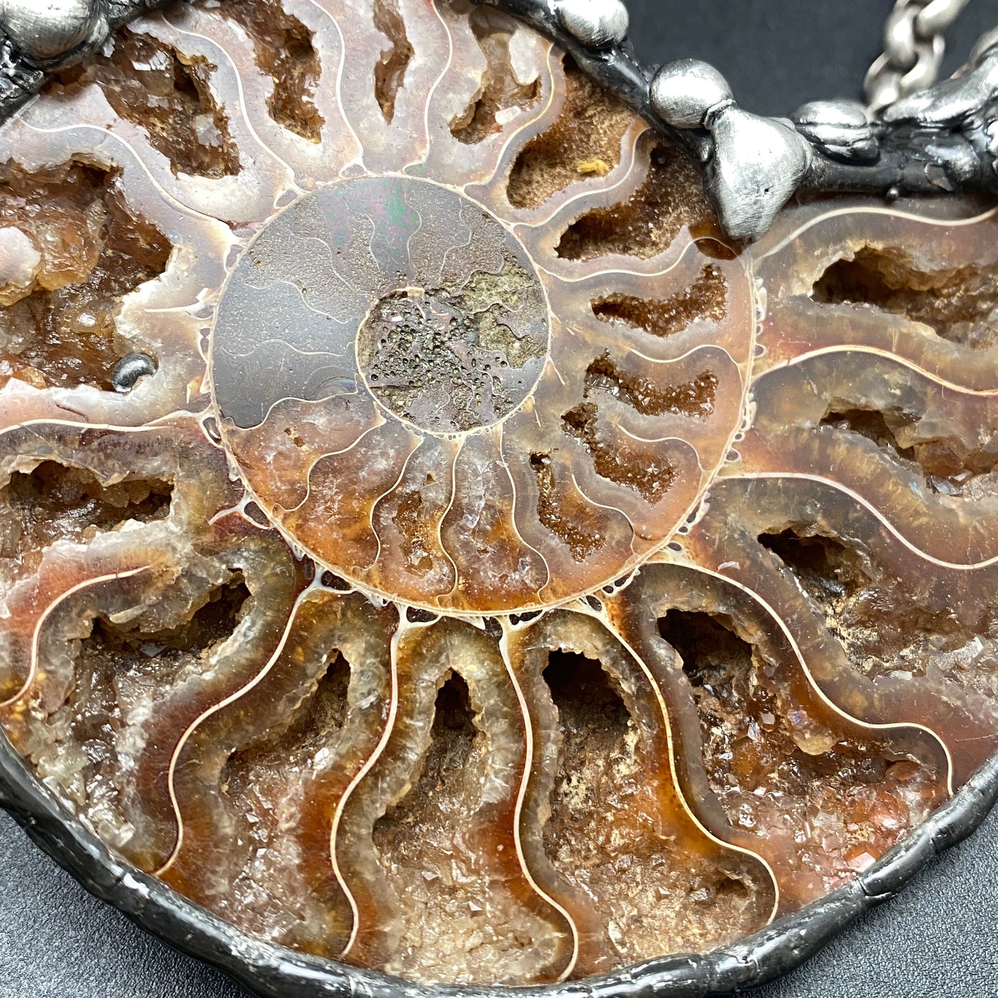 Fibonacci ~ Large Fossil Ammonite Necklace