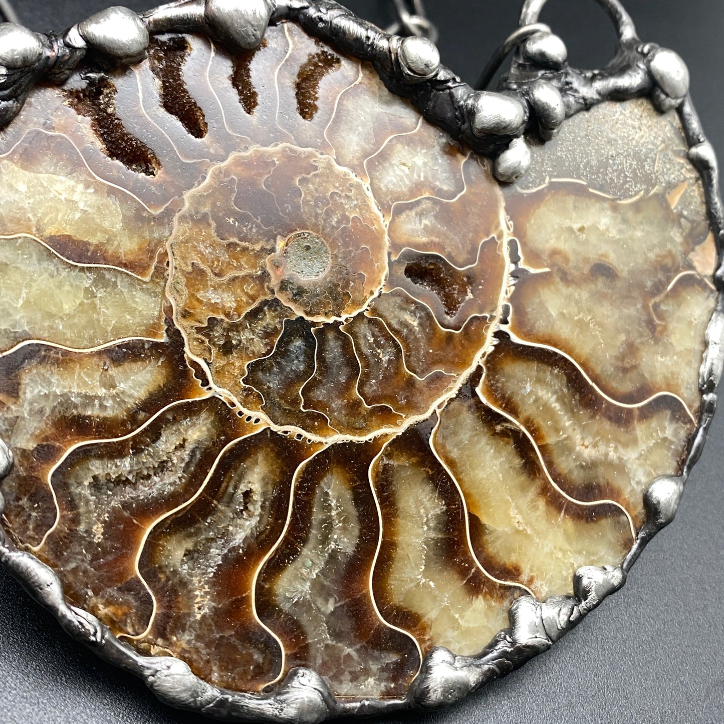 Fibonacci ~ XL Fossil Ammonite Necklace