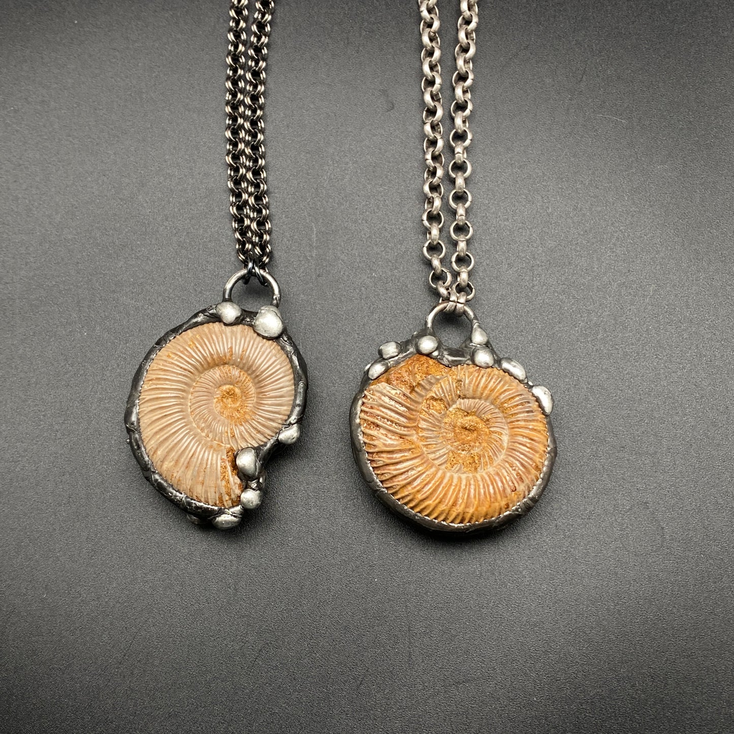 Finite ~ Full Fossil Ammonite Necklace ~ Your Choice