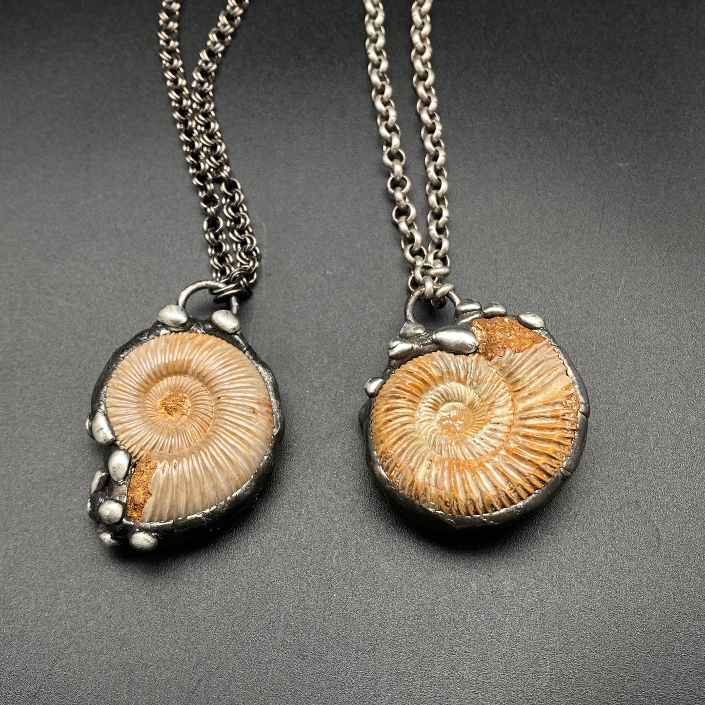 Finite ~ Full Fossil Ammonite Necklace ~ Your Choice