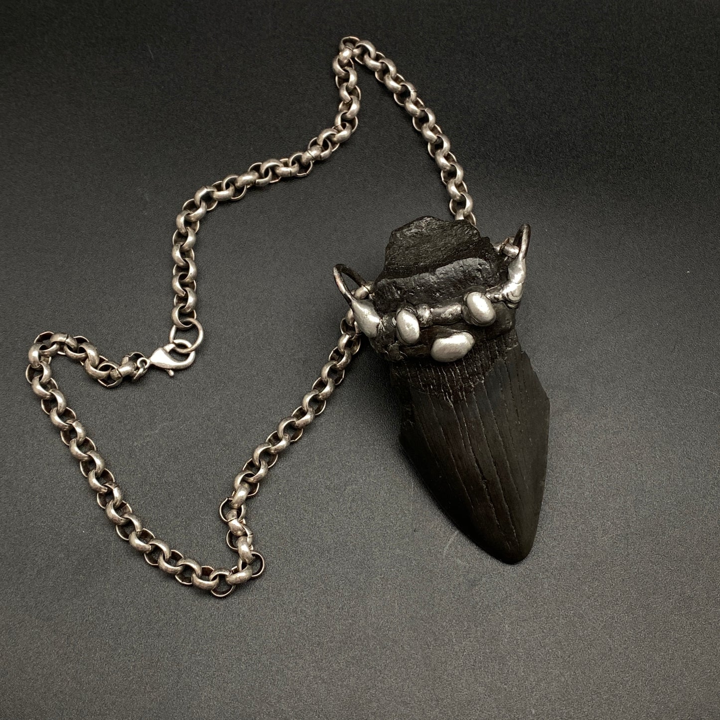 Aquatic Monster ~ Megalodon Tooth Necklace