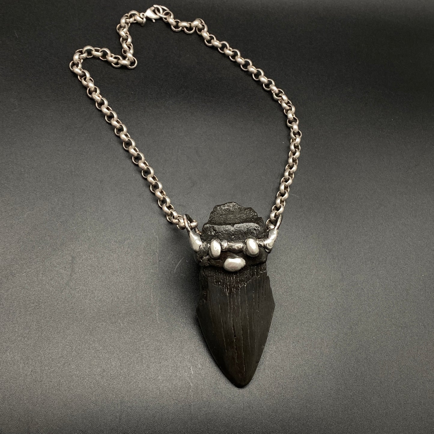 Aquatic Monster ~ Megalodon Tooth Necklace