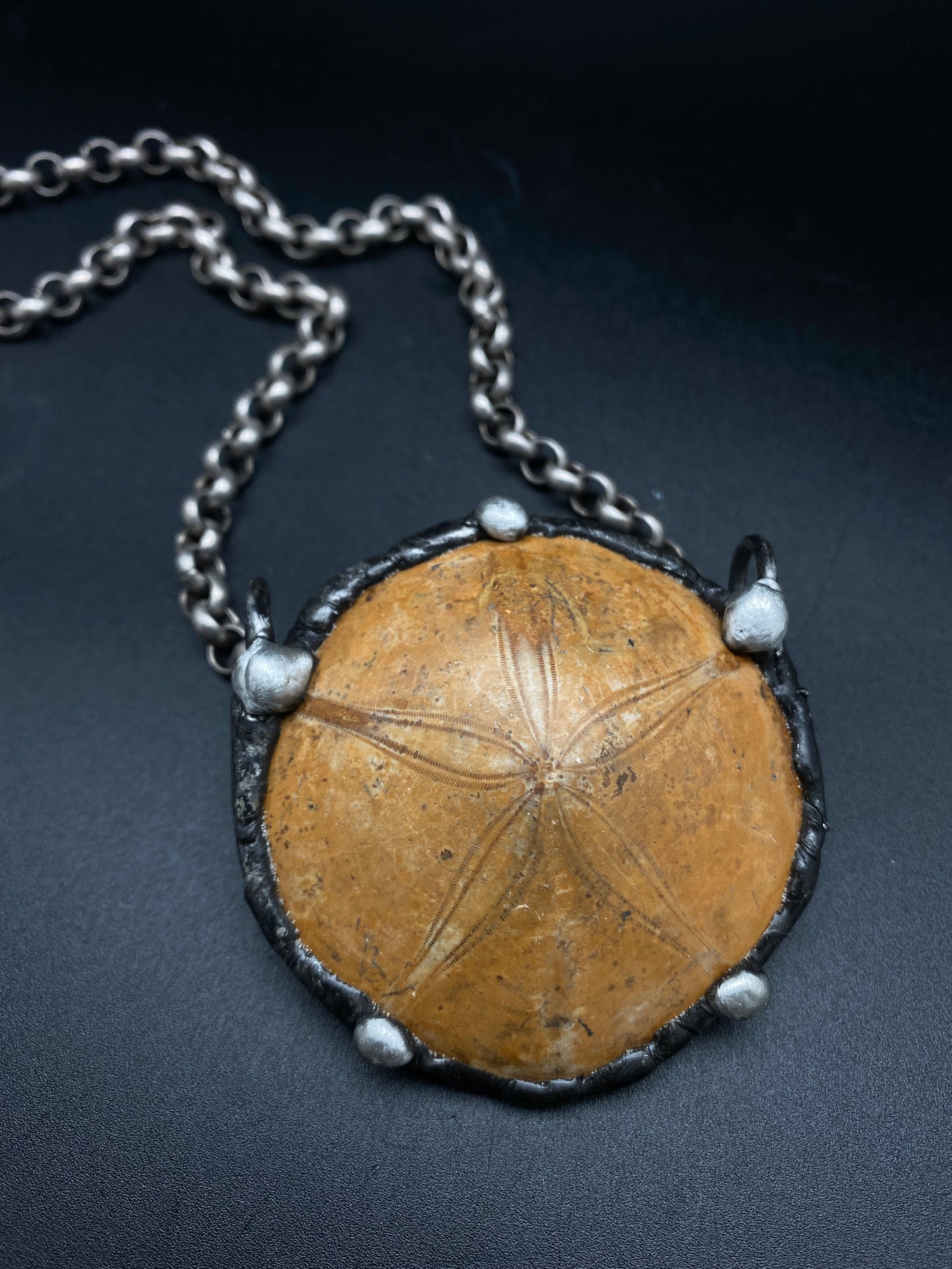 Ashore ~ Fossil Sand Dollar Necklace