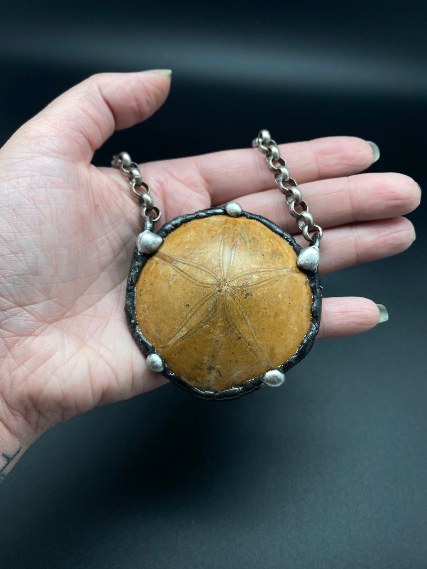 Ashore ~ Fossil Sand Dollar Necklace