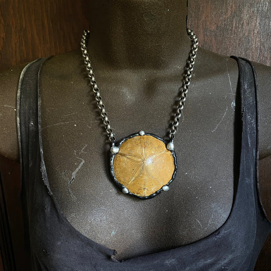 Ashore ~ Fossil Sand Dollar Necklace