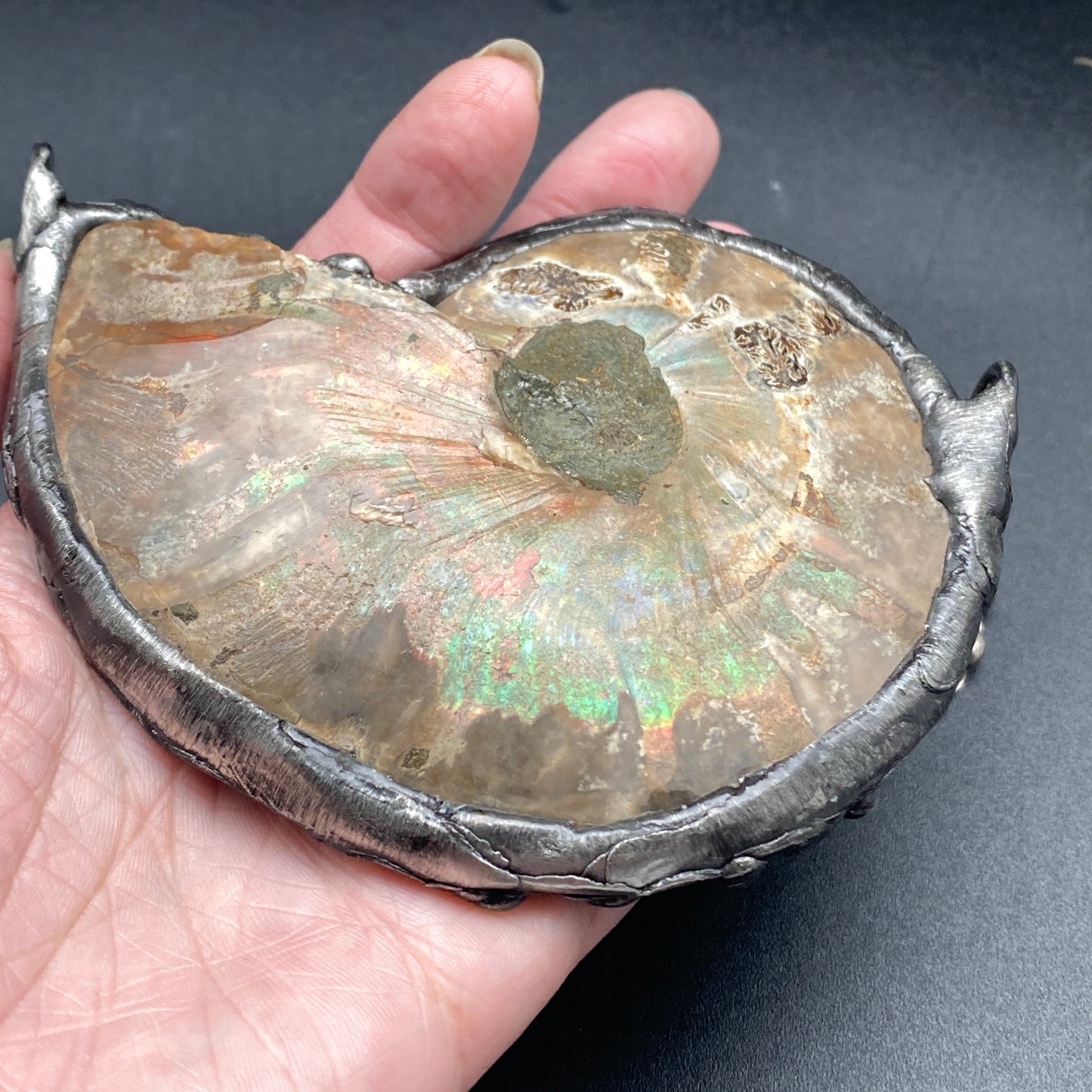 Fibonacci ~ Large Fossil Ammonite Necklace