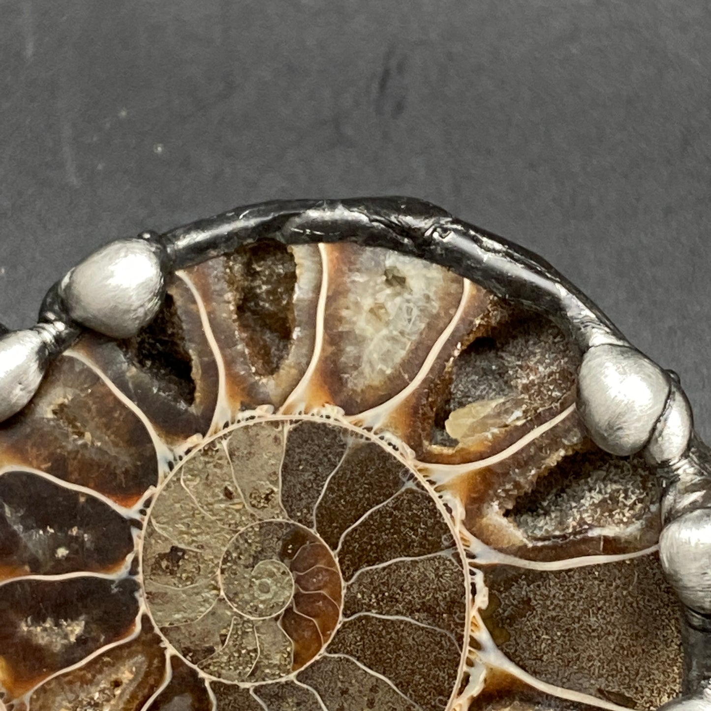 Fibonacci ~ Fossil Ammonite Necklace