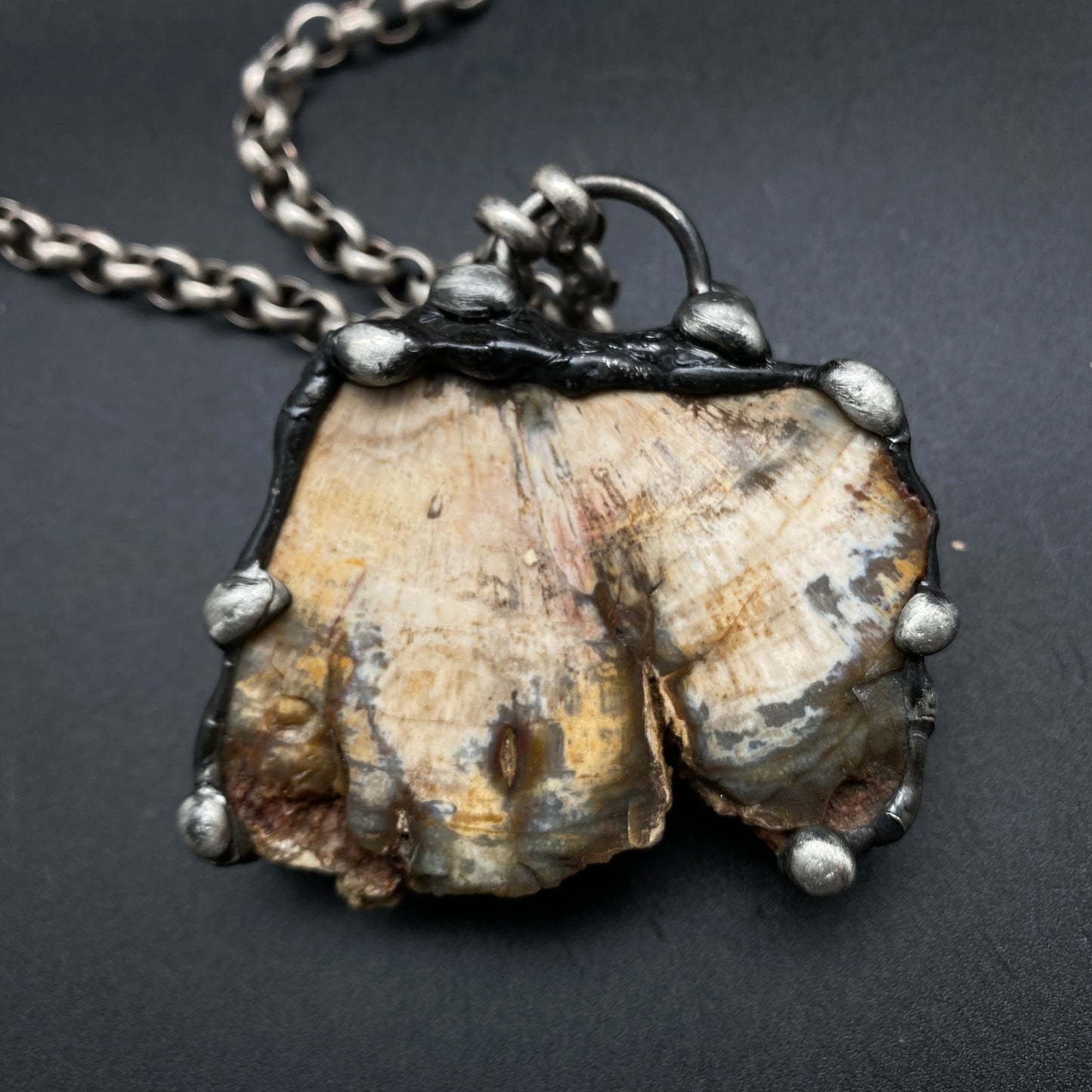 Goliath ~ Petrified Wood Necklace