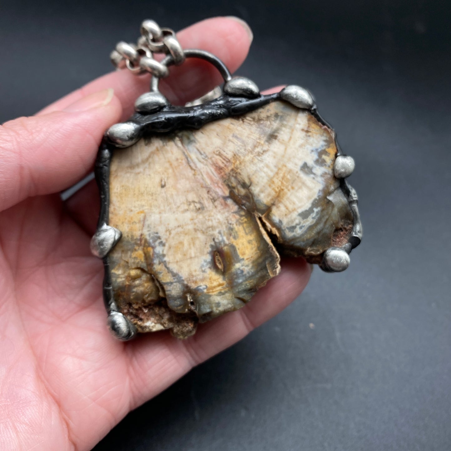 Goliath ~ Petrified Wood Necklace