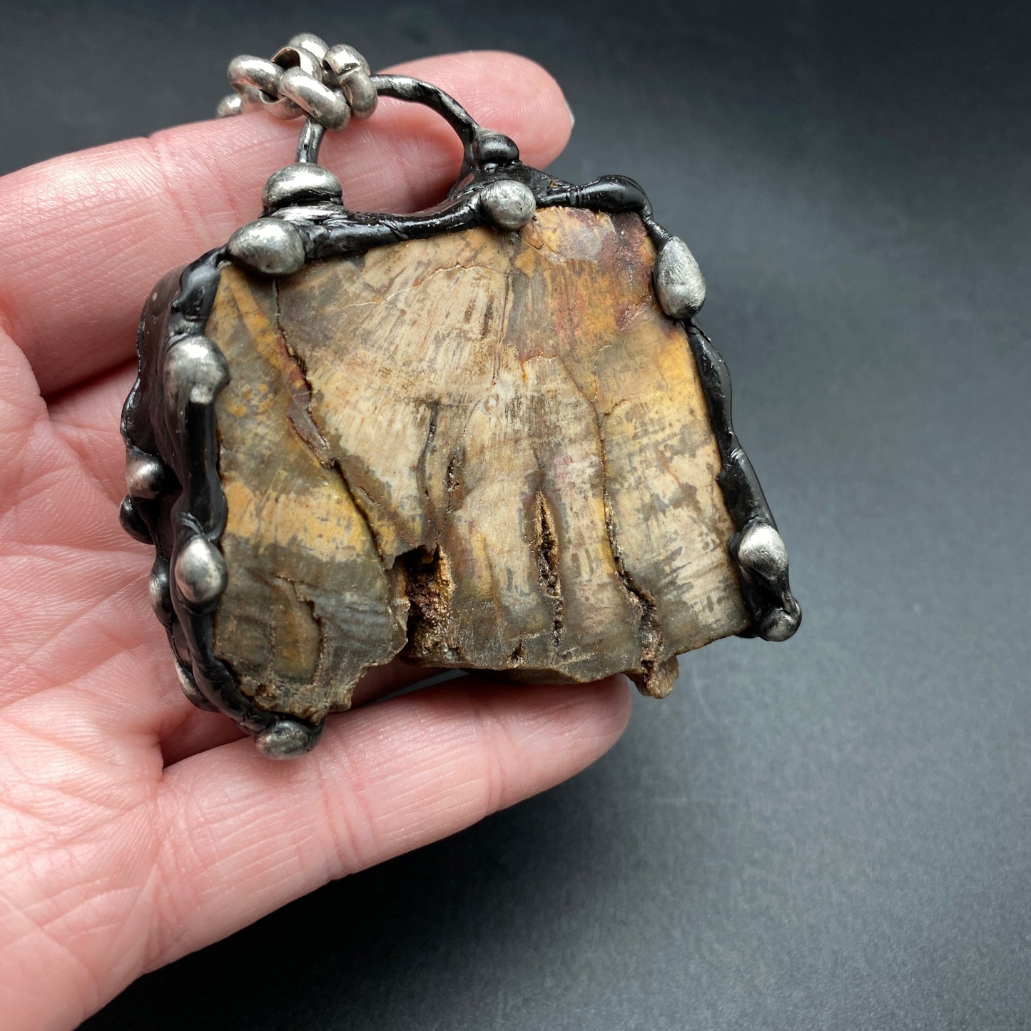 Goliath ~ Petrified Wood Necklace