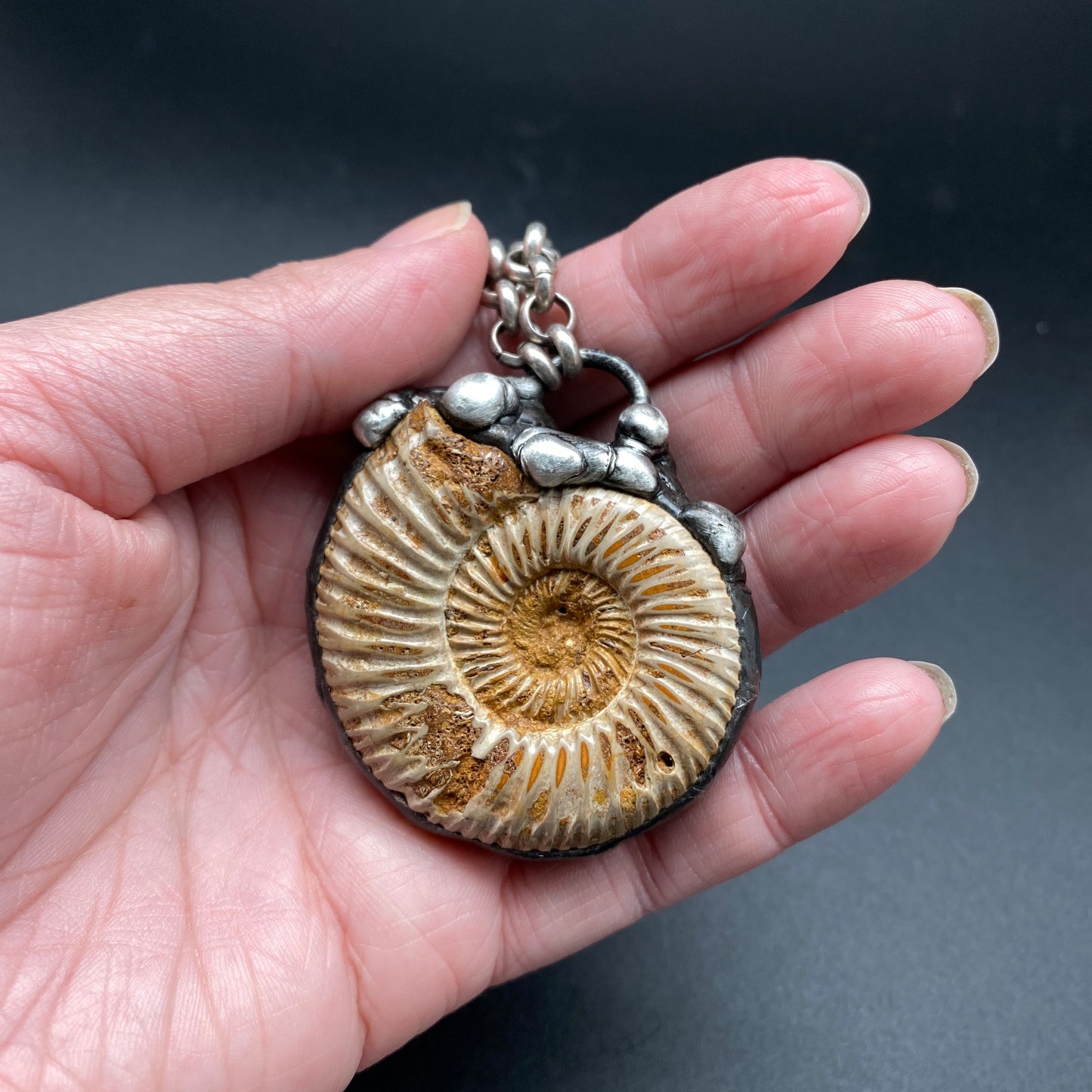 Fibonacci ~ Moroccan Fossil Ammonite Necklace