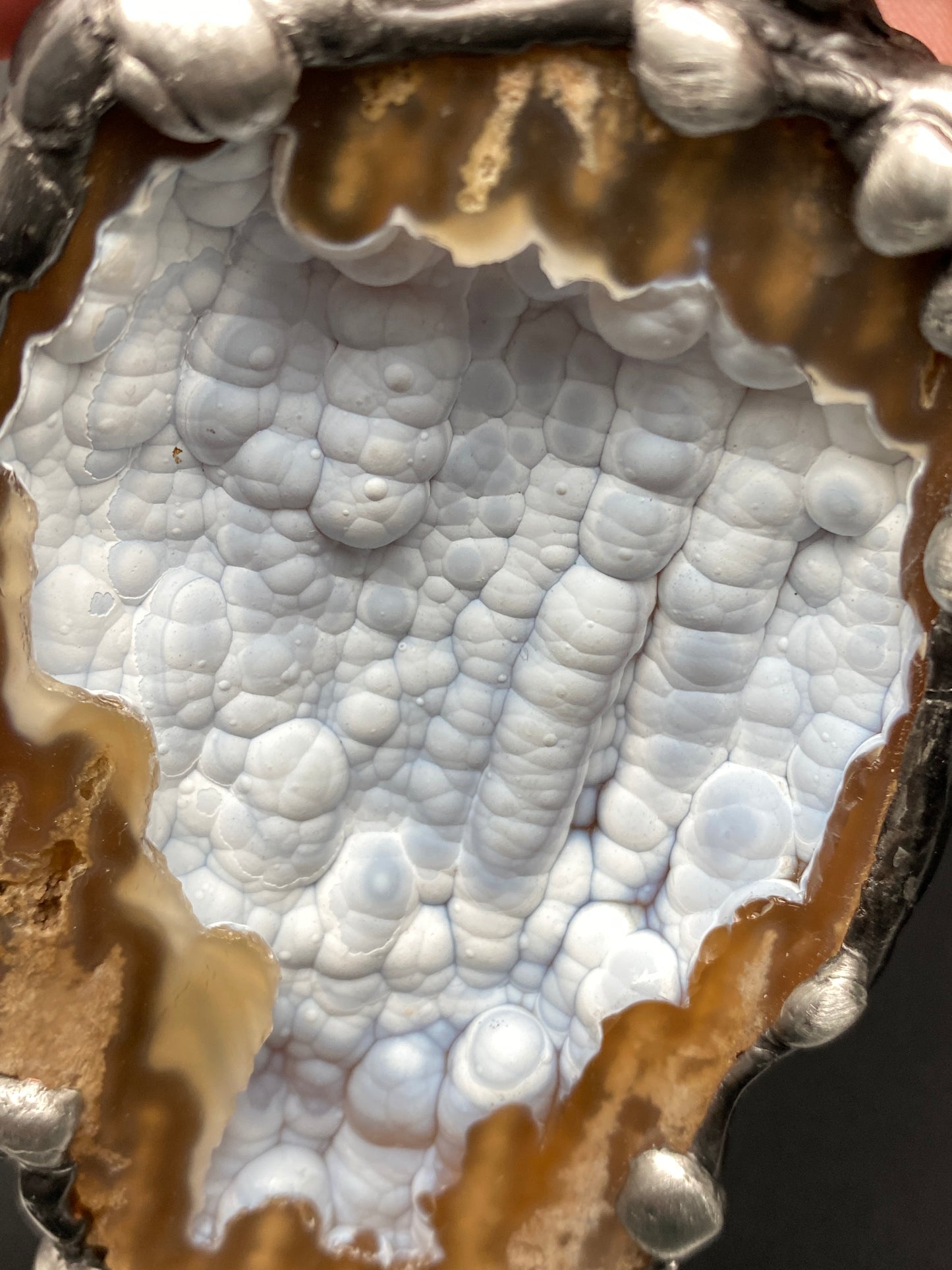 Extinction ~ Agatized Coral Necklace ~ Florida