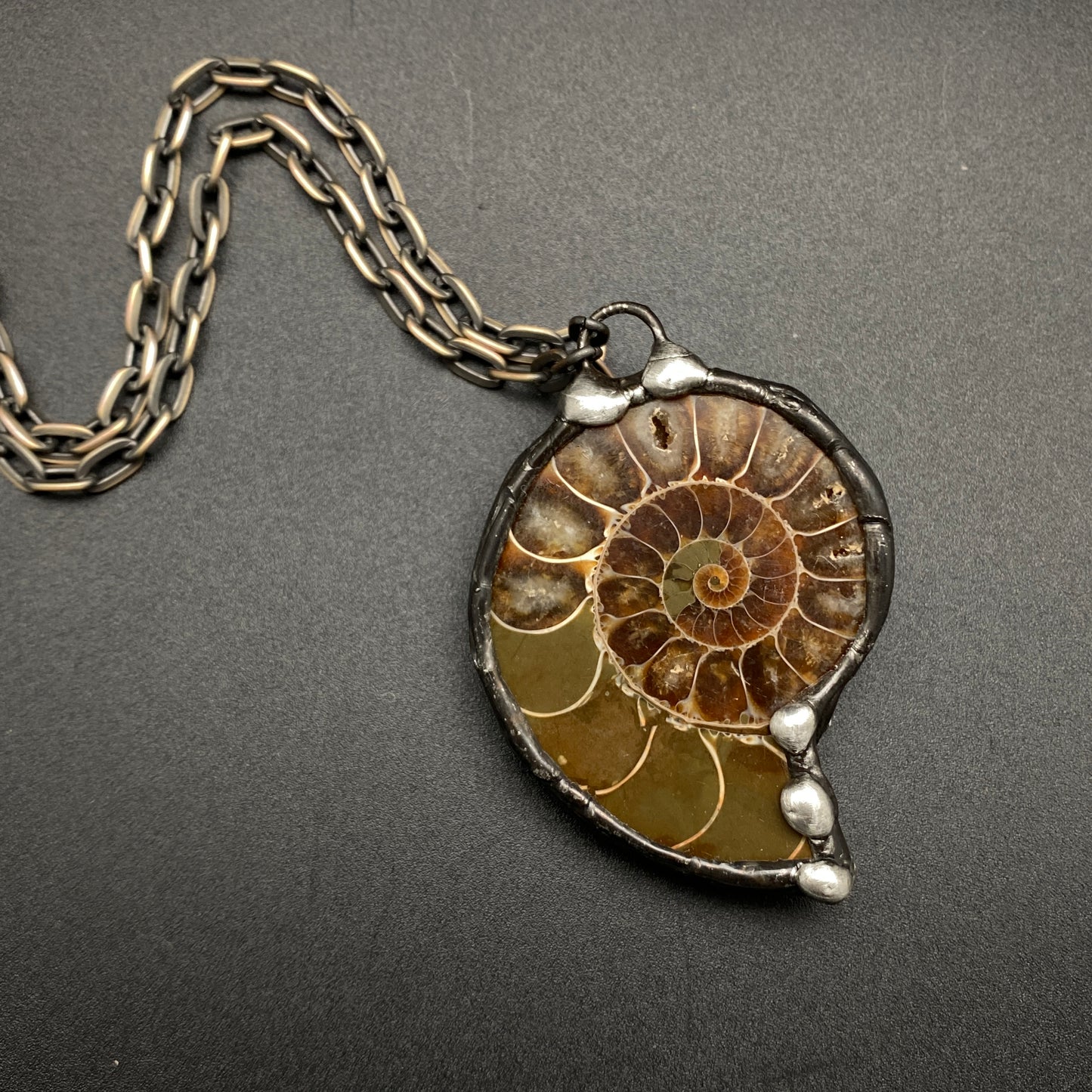 Fibonacci ~ Fossil Ammonite Necklace