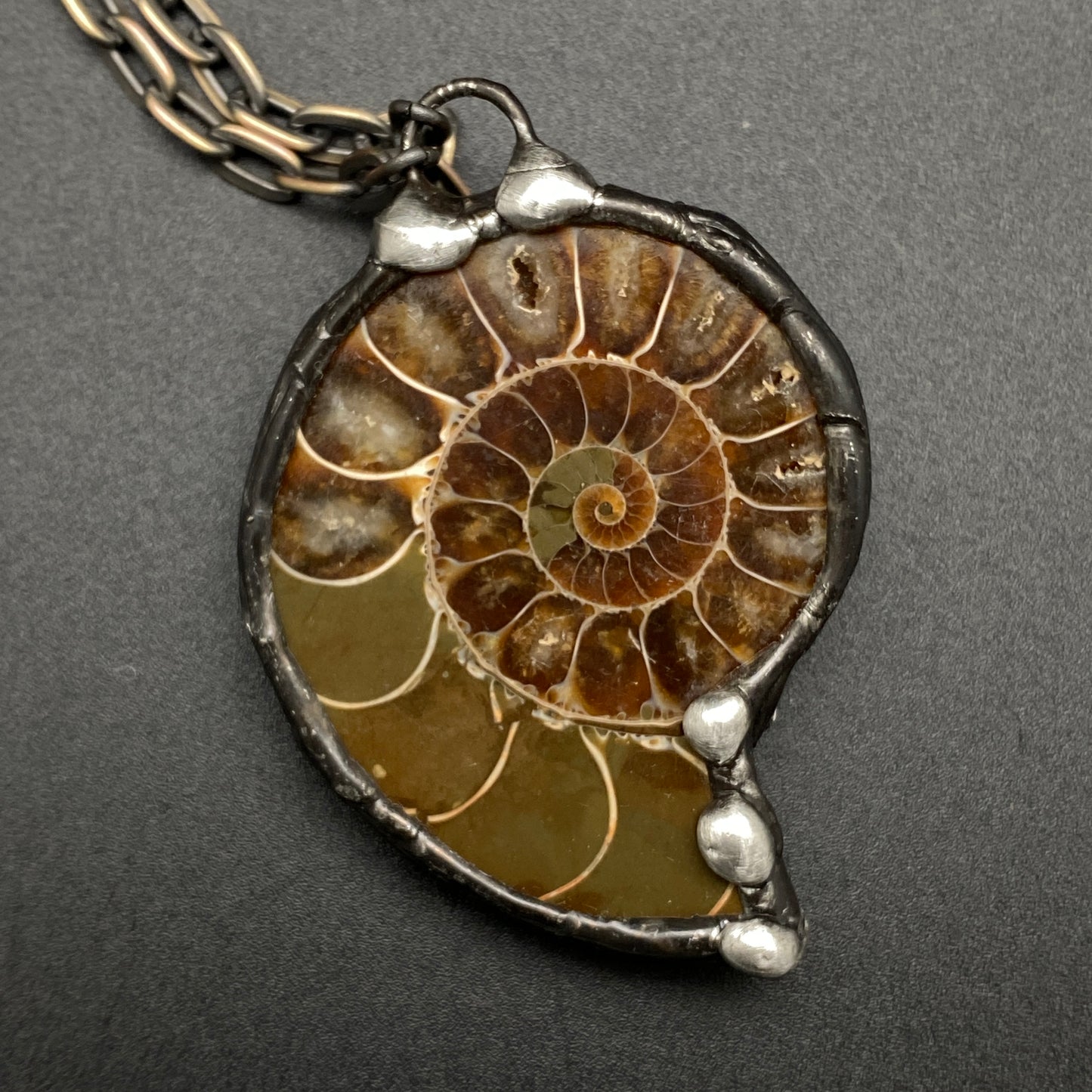 Fibonacci ~ Fossil Ammonite Necklace