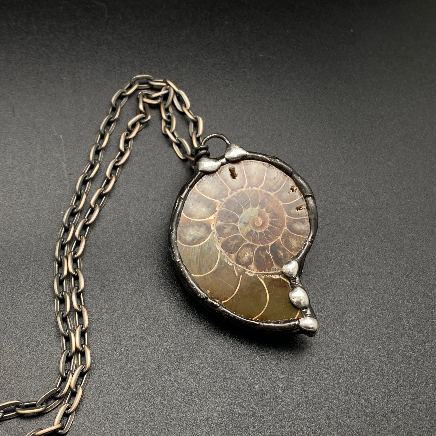 Fibonacci ~ Fossil Ammonite Necklace