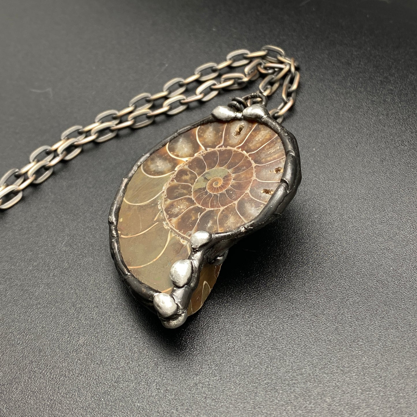 Fibonacci ~ Fossil Ammonite Necklace