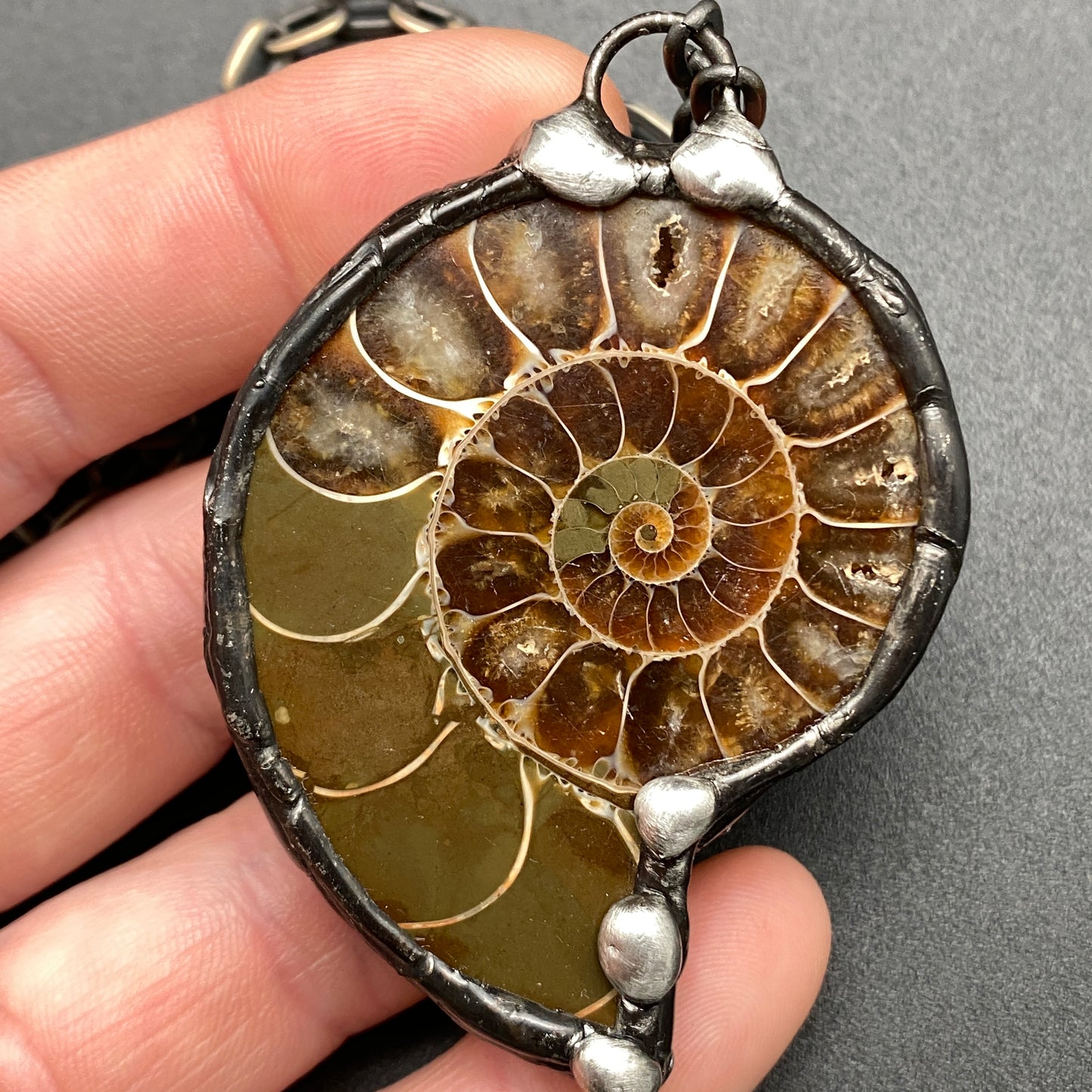 Fibonacci ~ Fossil Ammonite Necklace