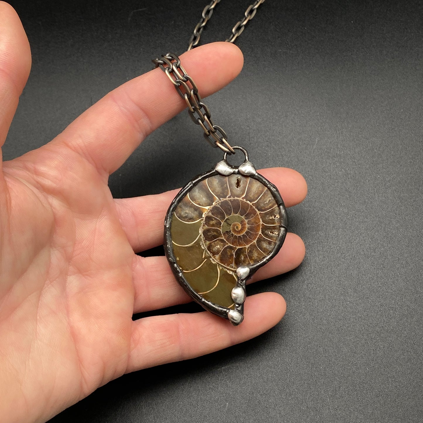 Fibonacci ~ Fossil Ammonite Necklace