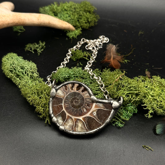 Fibonacci ~ Fossil Ammonite Necklace