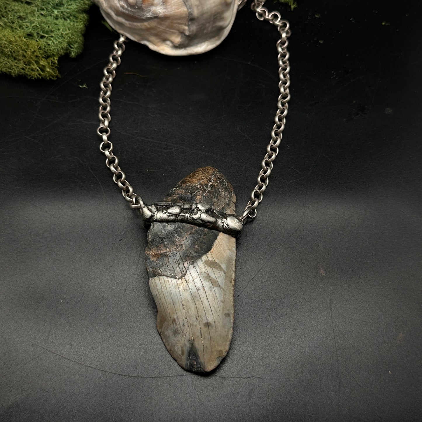 Meg ~ Megalodon Tooth Necklace
