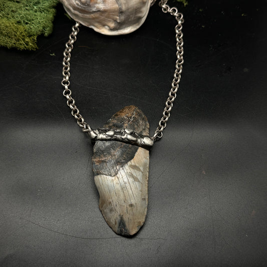 Meg ~ Megalodon Tooth Necklace