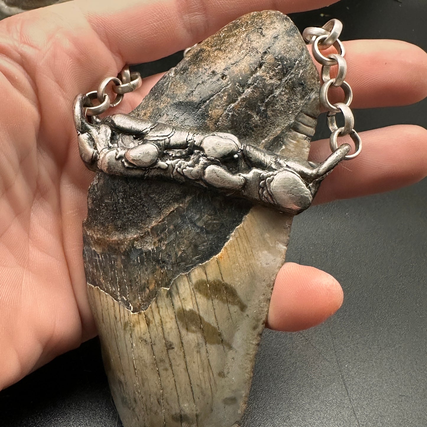 Meg ~ Megalodon Tooth Necklace