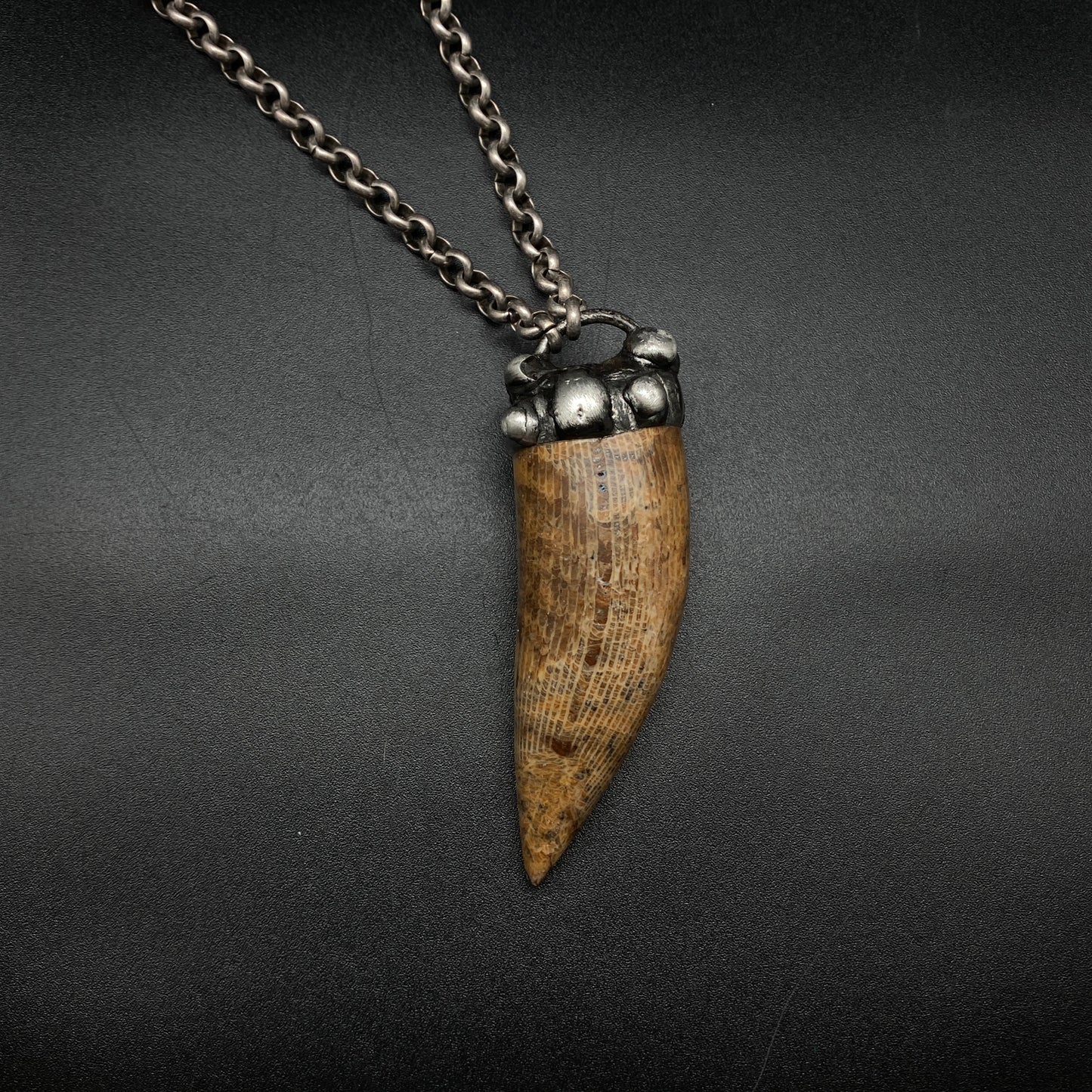 Horus ~ Fossil Horn Coral Necklace