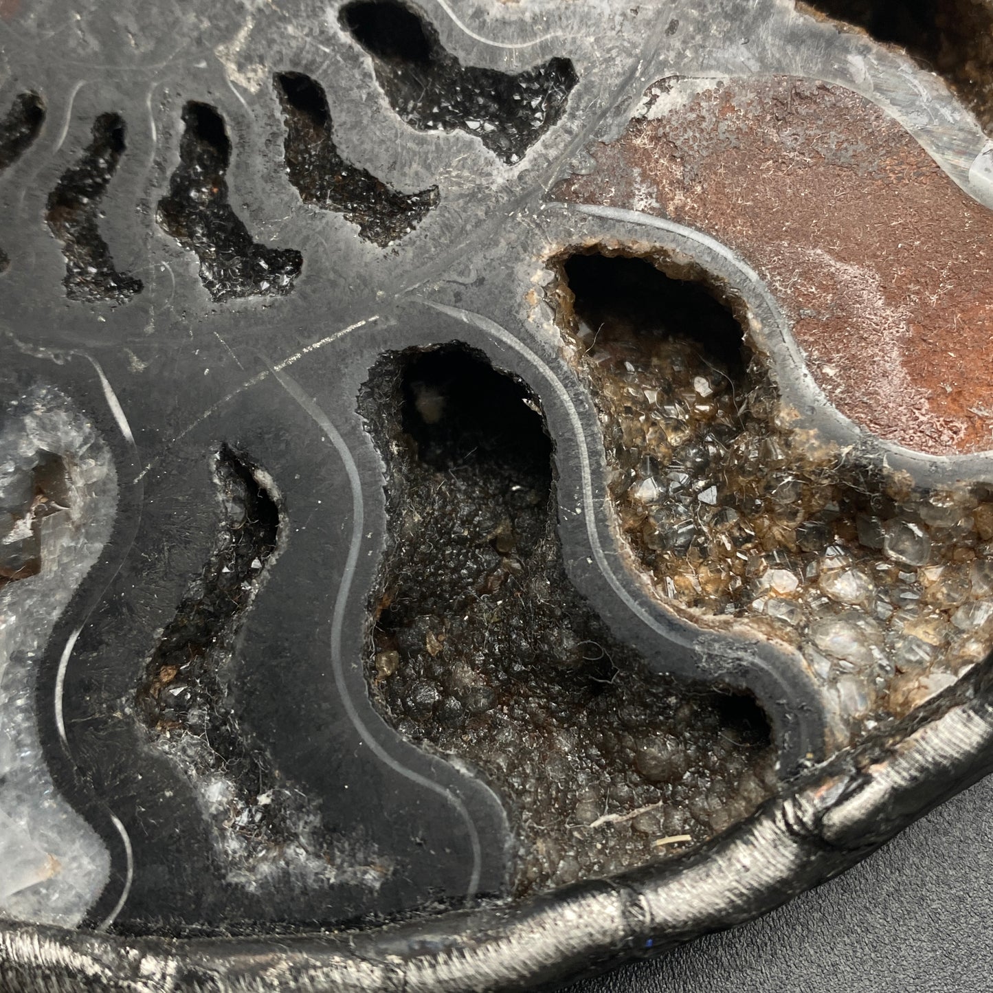 Fibonacci ~ XL Fossil Black Ammonite Necklace