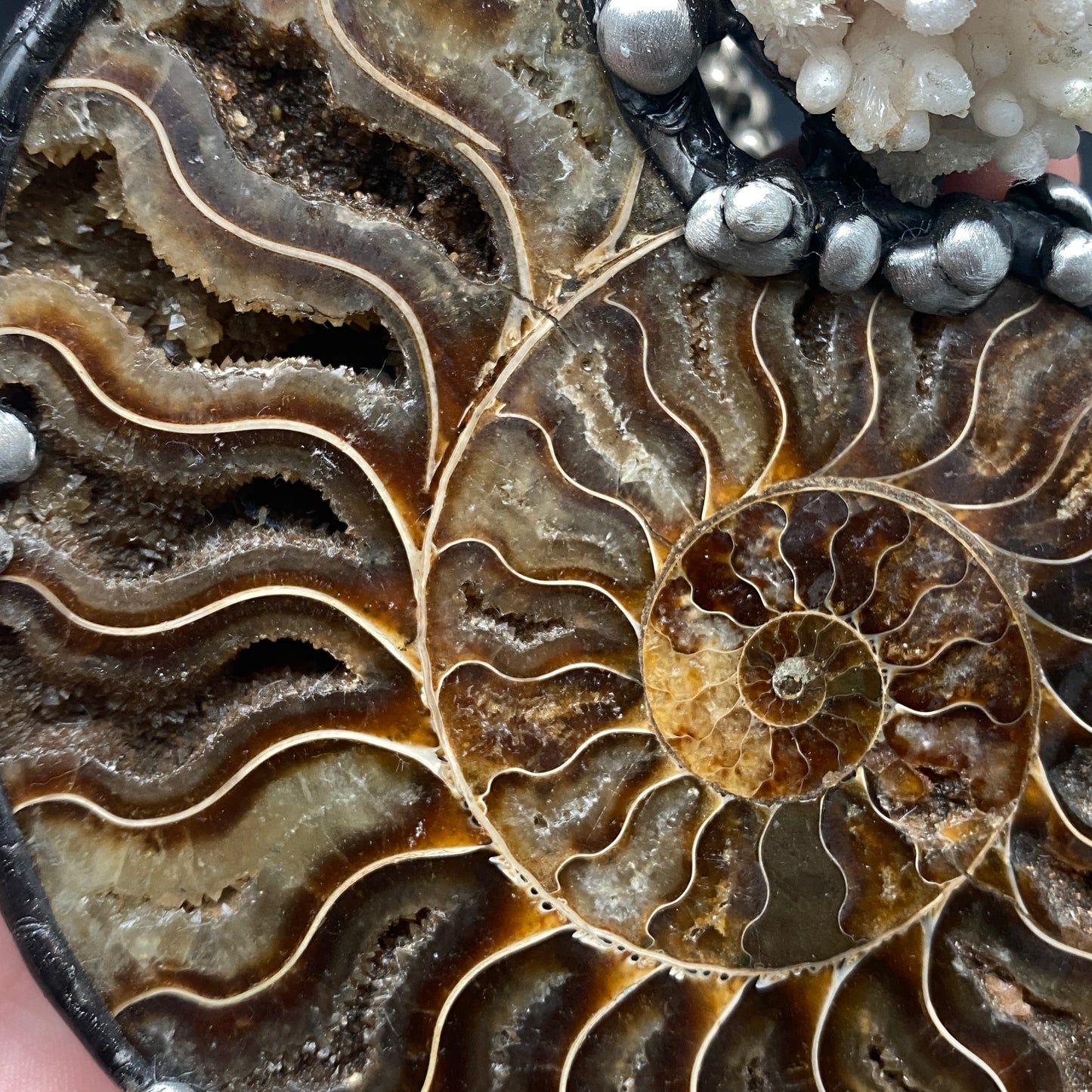 Oceanic ~ XL Fossil Ammonite & Calcium Stalactite Necklace