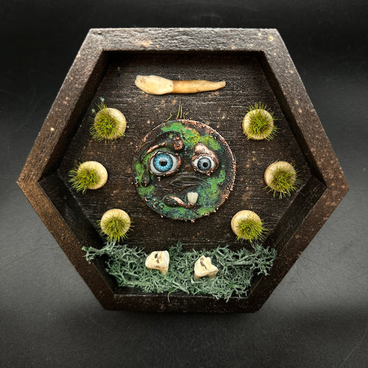 The Teeth Beneath ~ Wall Mounted Box