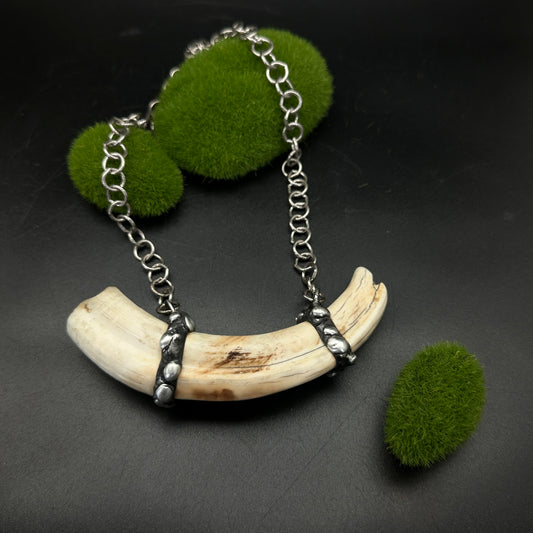 Tooth & Talisman ~ Boar Tusk Necklace