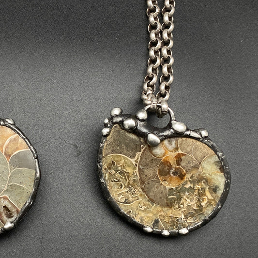 Fibonacci ~ Fossil Ammonite Necklace