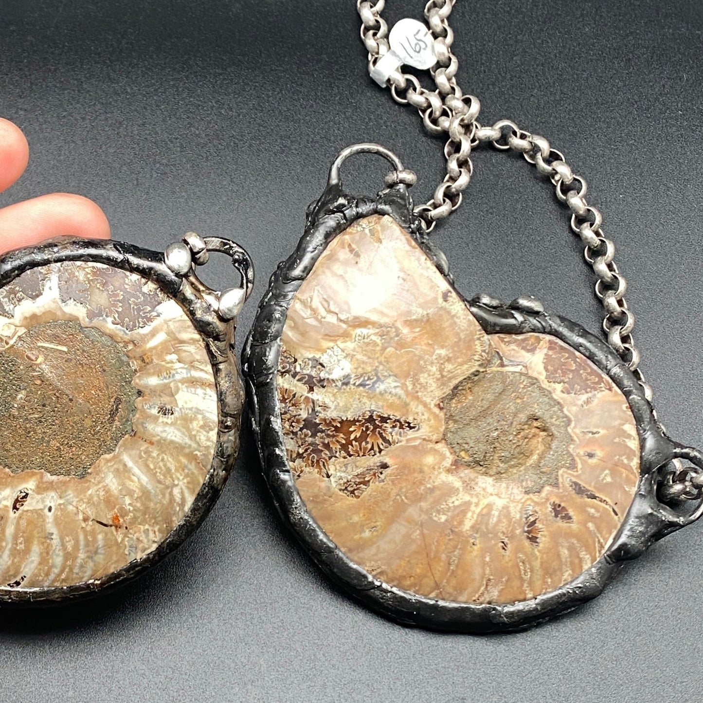 Fibonacci ~ Large Fossil Ammonite Necklace