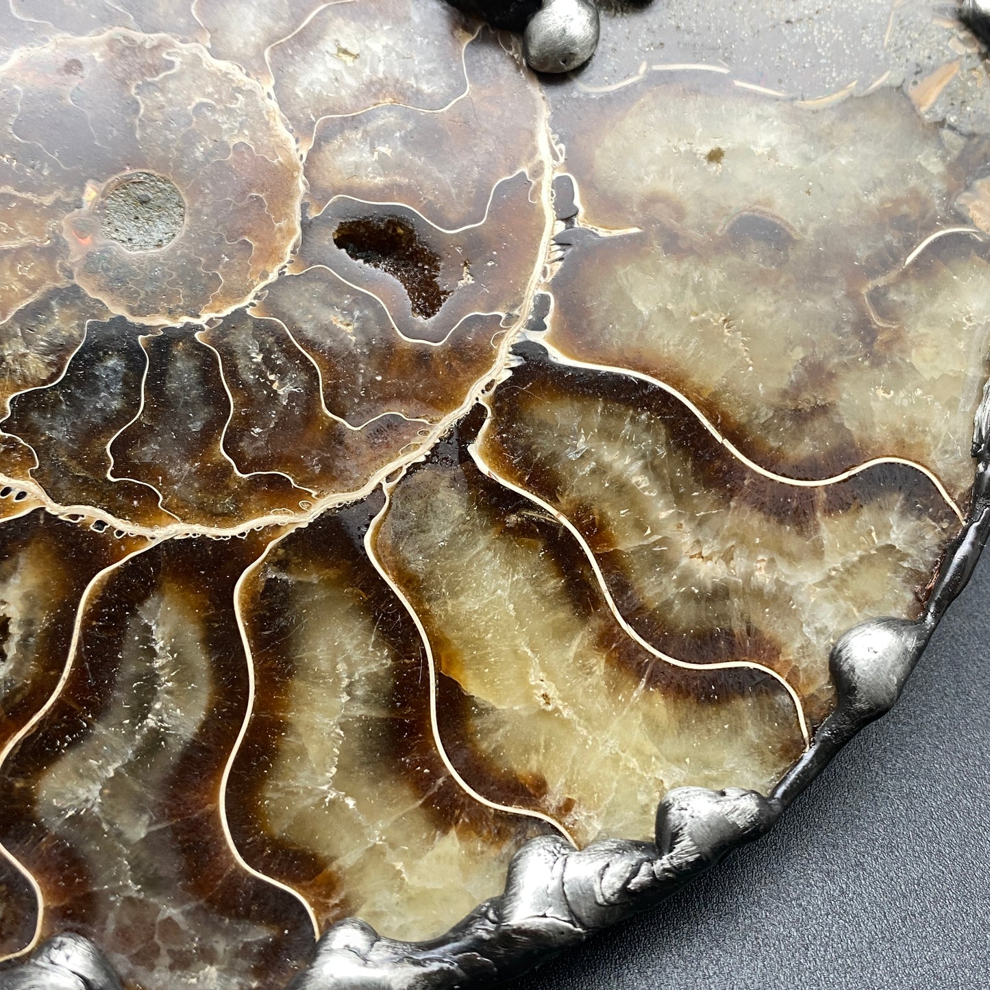 Fibonacci ~ XL Fossil Ammonite Necklace