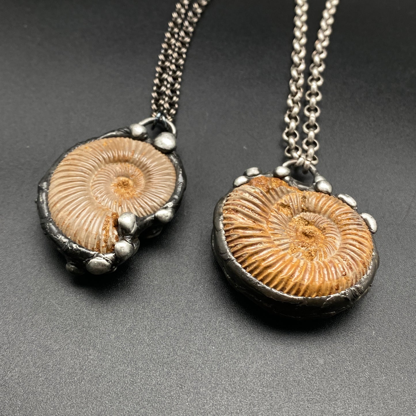 Finite ~ Full Fossil Ammonite Necklace ~ Your Choice