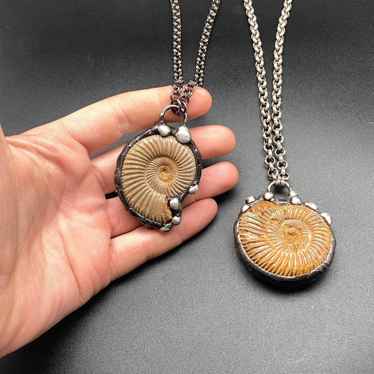 Finite ~ Full Fossil Ammonite Necklace ~ Your Choice