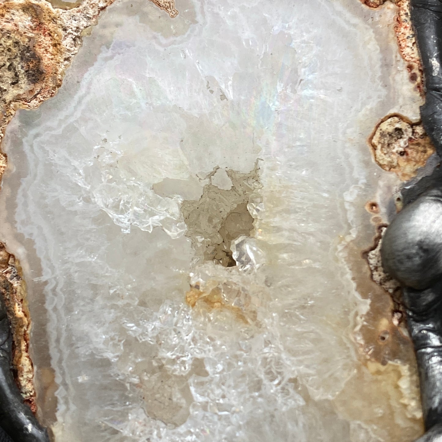 Extinction ~ Agatized Crystal Coral Necklace ~ Florida