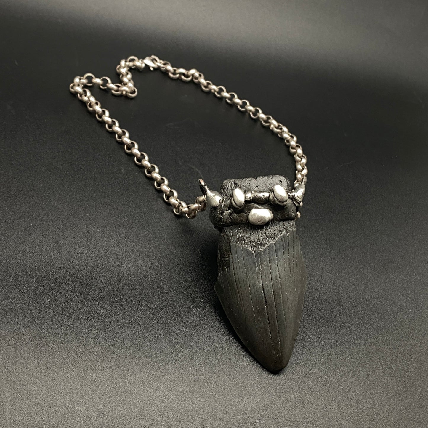 Aquatic Monster ~ Megalodon Tooth Necklace