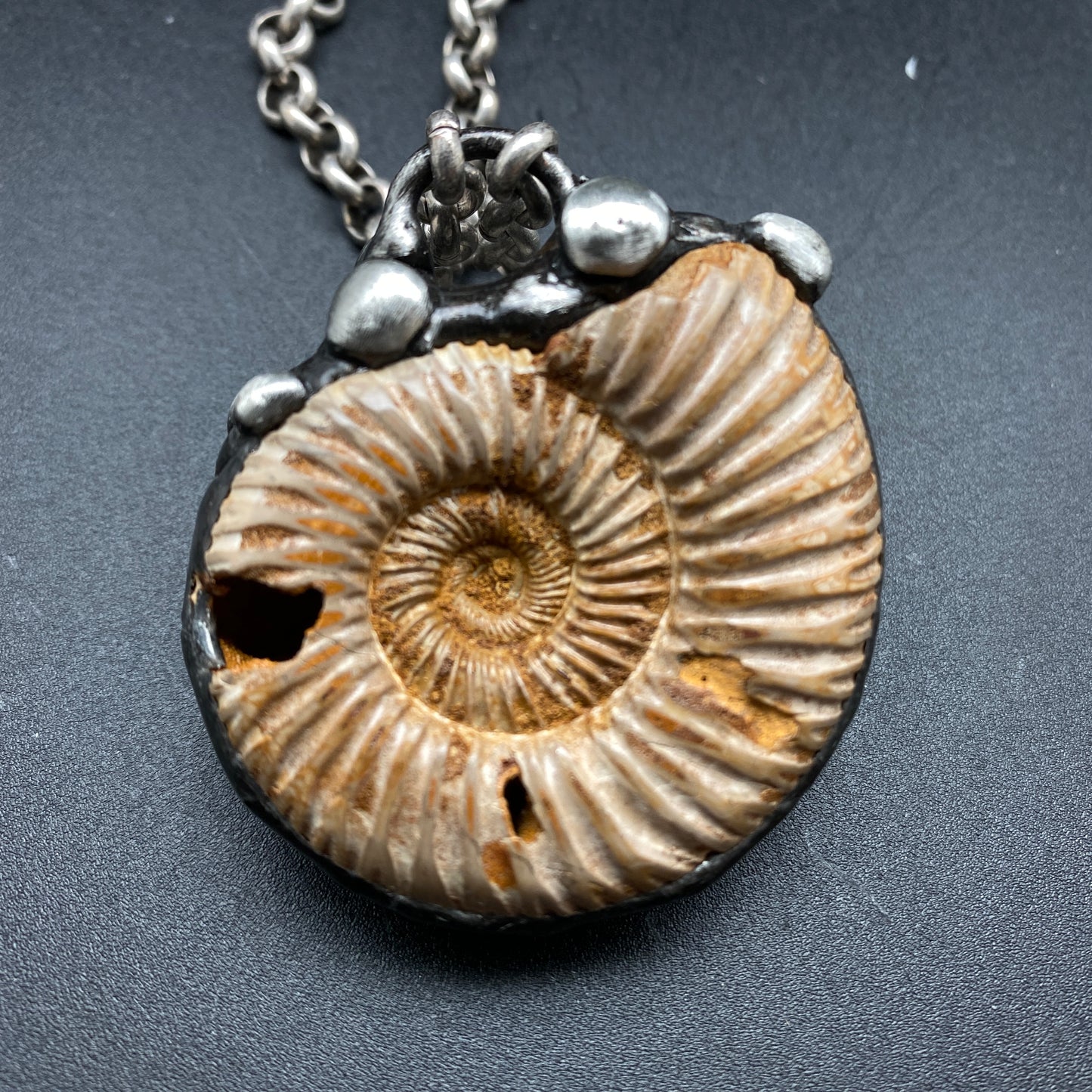 Fibonacci ~ Moroccan Fossil Ammonite Necklace